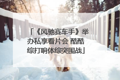 《风驰赛车手》举办私享看片会 酷酷综打响体综突围战