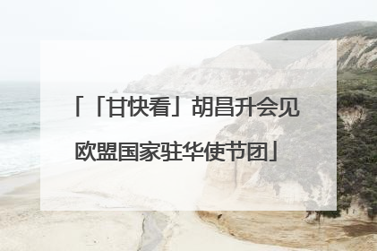 「甘快看」胡昌升会见欧盟国家驻华使节团