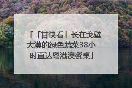 「甘快看」长在戈壁大漠的绿色蔬菜38小时直达粤港澳餐桌