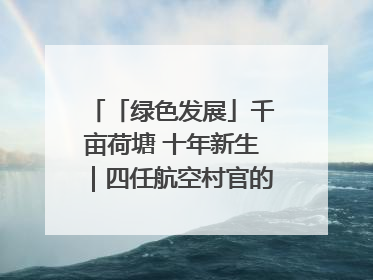 「绿色发展」千亩荷塘 十年新生｜四任航空村官的“生态接力”