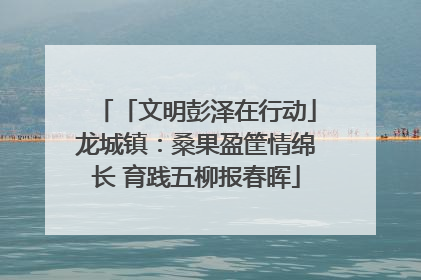 「文明彭泽在行动」龙城镇：桑果盈筐情绵长 育践五柳报春晖
