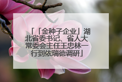 「金种子企业」湖北省委书记、省人大常委会主任王忠林一行到依瑞德调研