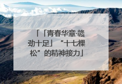 「青春华章·赣劲十足」“十七棵松”的精神接力