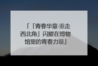 「青春华章·重走西北角」闪耀在博物馆里的青春力量