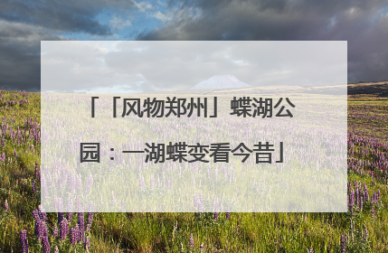 「风物郑州」蝶湖公园：一湖蝶变看今昔