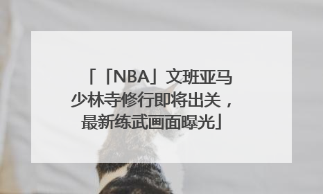 「NBA」文班亚马少林寺修行即将出关，最新练武画面曝光