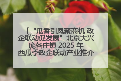“瓜香引凤聚商机 政企联动促发展”北京大兴庞各庄镇 2025 年西瓜季政企联动产业推介活动圆满举行