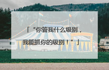 “你管我什么级别，我能抓你的级别！”