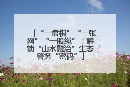 “一盘棋”“一张网”“一股绳”：解锁“山水融治”生态警务“密码”