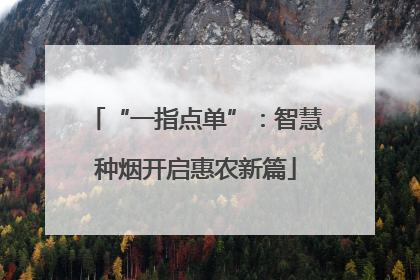 “一指点单”：智慧种烟开启惠农新篇
