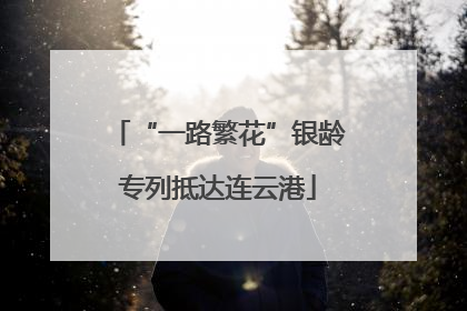 “一路繁花”银龄专列抵达连云港