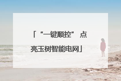 “一键顺控” 点亮玉树智能电网