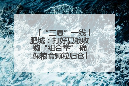 “三夏”一线丨肥城：打好夏粮收购“组合拳” 确保粮食颗粒归仓