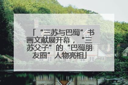 “三苏与巴蜀”书画文献展开幕，“三苏父子”的“巴蜀朋友圈”人物亮相