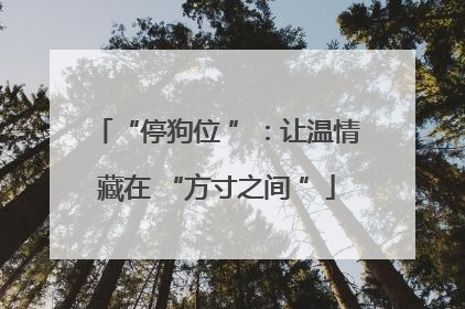 “停狗位 ”：让温情藏在 “方寸之间 ”