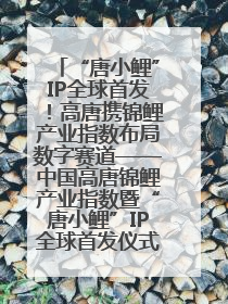 “唐小鲤”IP全球首发！高唐携锦鲤产业指数布局数字赛道——中国高唐锦鲤产业指数暨“唐小鲤”IP全球首发仪式在杭州举行