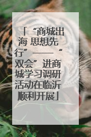 “商城出海 思想先行”——“双会”进商城学习调研活动在临沂顺利开展