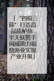 “四检三筛”打造高品质鲈鱼 半天妖携手闽威助力福鼎渔业实现产业升级