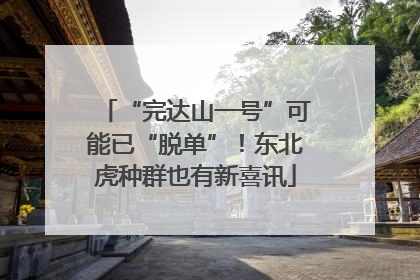 “完达山一号”可能已“脱单”！东北虎种群也有新喜讯