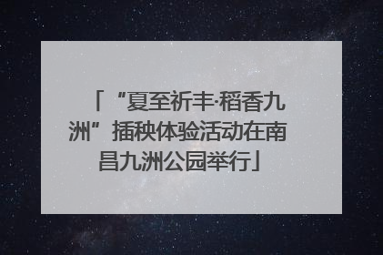 “夏至祈丰·稻香九洲”插秧体验活动在南昌九洲公园举行