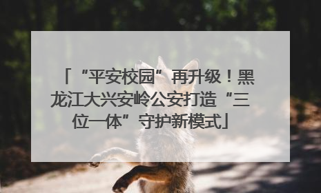 “平安校园”再升级！黑龙江大兴安岭公安打造“三位一体”守护新模式