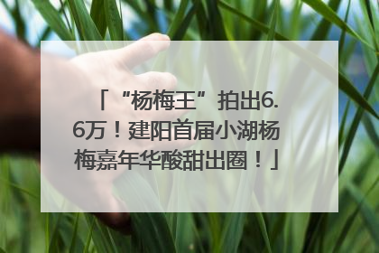 “杨梅王”拍出6.6万！建阳首届小湖杨梅嘉年华酸甜出圈！