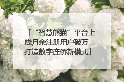 “智慧熊猫”平台上线月余注册用户破万 打造数字连侨新模式