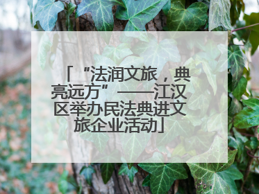 “法润文旅，典亮远方”——江汉区举办民法典进文旅企业活动