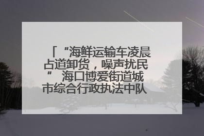 “海鲜运输车凌晨占道卸货，噪声扰民” 海口博爱街道城市综合行政执法中队：将联合交警加强长堤路一带巡逻