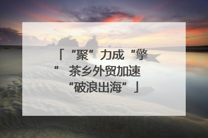“聚”力成“擎” 茶乡外贸加速“破浪出海”