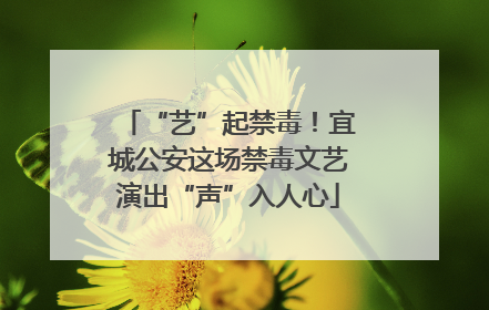 “艺”起禁毒！宜城公安这场禁毒文艺演出“声”入人心