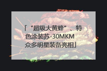“超级大黄蜂”、特色涂装苏-30MKM 众多明星装备亮相