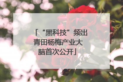 “黑科技”频出 青田杨梅产业大脑首次公开