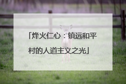 烽火仁心：镇远和平村的人道主义之光
