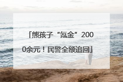 熊孩子“氪金”2000余元！民警全额追回