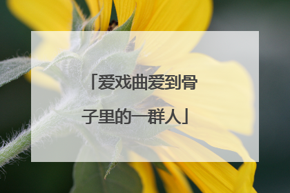 爱戏曲爱到骨子里的一群人