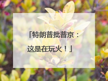 特朗普批普京：这是在玩火！