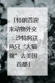 特朗普迎来动物外交：沙特将送两只“大猫咪”去美国首都