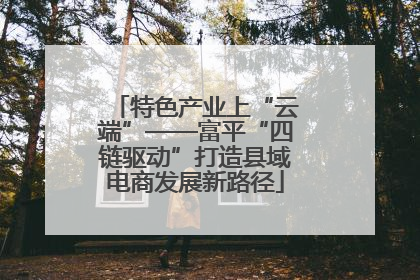 特色产业上“云端”——富平“四链驱动”打造县域电商发展新路径