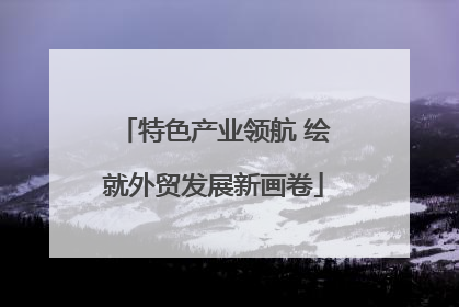 特色产业领航 绘就外贸发展新画卷