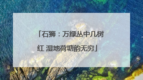 石狮：万绿丛中几树红 湿地荷塘韵无穷