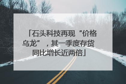 石头科技再现“价格乌龙”，其一季度存货同比增长近两倍