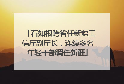 石如根跨省任新疆工信厅副厅长，连续多名年轻干部调任新疆