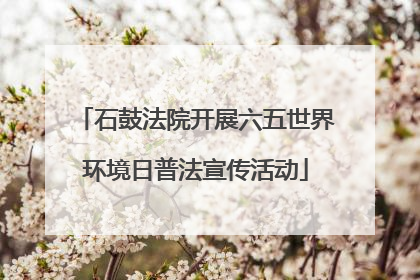 石鼓法院开展六五世界环境日普法宣传活动