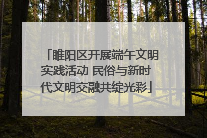 睢阳区开展端午文明实践活动 民俗与新时代文明交融共绽光彩