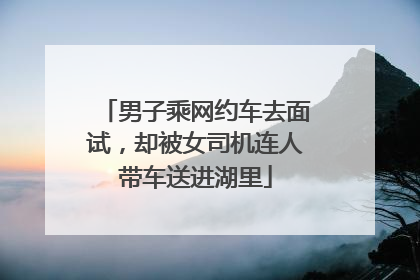男子乘网约车去面试，却被女司机连人带车送进湖里