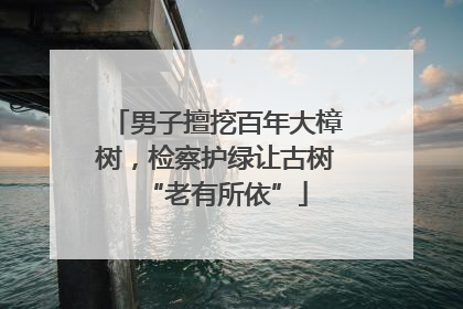 男子擅挖百年大樟树，检察护绿让古树“老有所依”