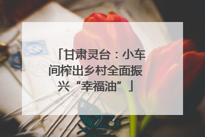 甘肃灵台：小车间榨出乡村全面振兴“幸福油”