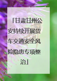 甘肃甘州公安持续开展货车交通安全风险隐患专项整治