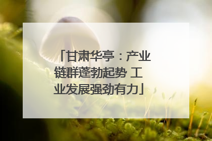 甘肃华亭：产业链群蓬勃起势 工业发展强劲有力
